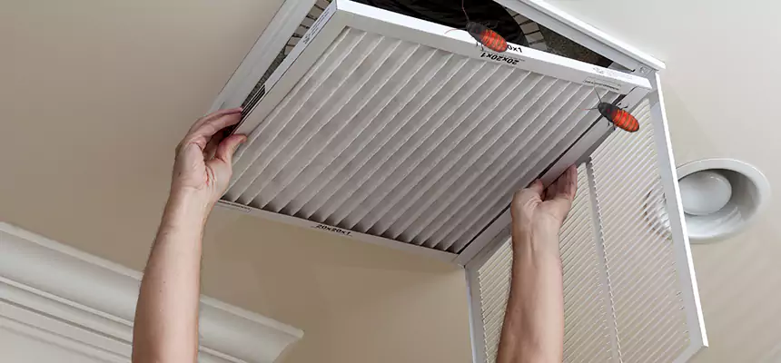 Our Insect Removal from Air Ducts Services in Atwater, CA