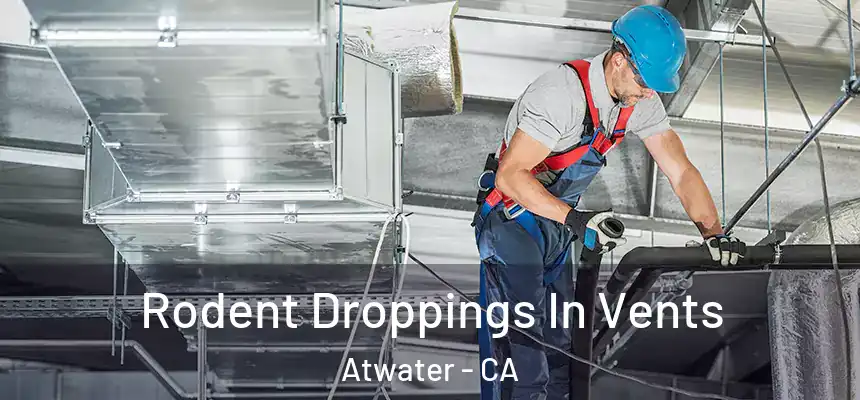 Rodent Droppings In Vents Atwater - CA