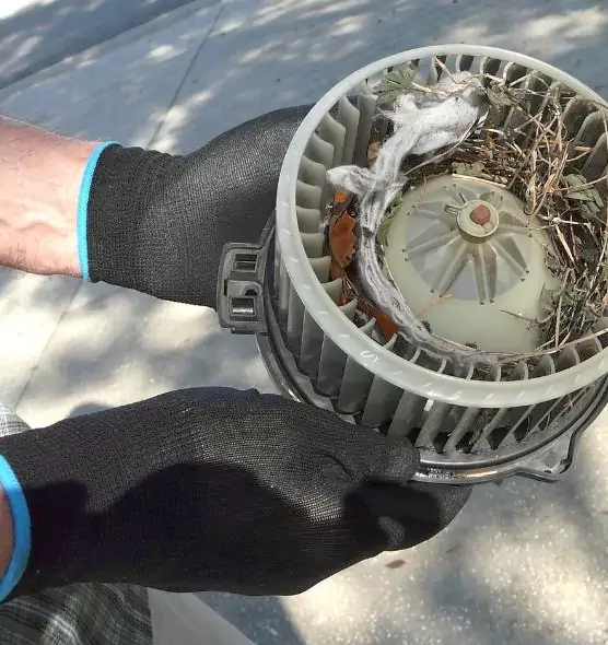 About Air Duct Rat Removal in Atwater, CA