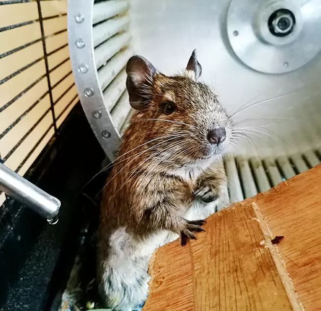 Why Homeowners & Businesses Trust Us Atwater, CA