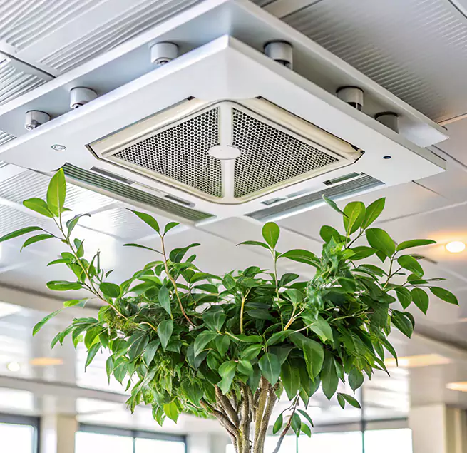 Why Homeowners & Businesses Trust Us in Atwater, CA?